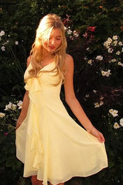 Chiffon A-Line V-Neck Sleeveless Short Summer Holiday Homecoming Dress