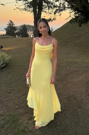 Chiffon Bateau Backless Sleeveless Long Party Prom Dress