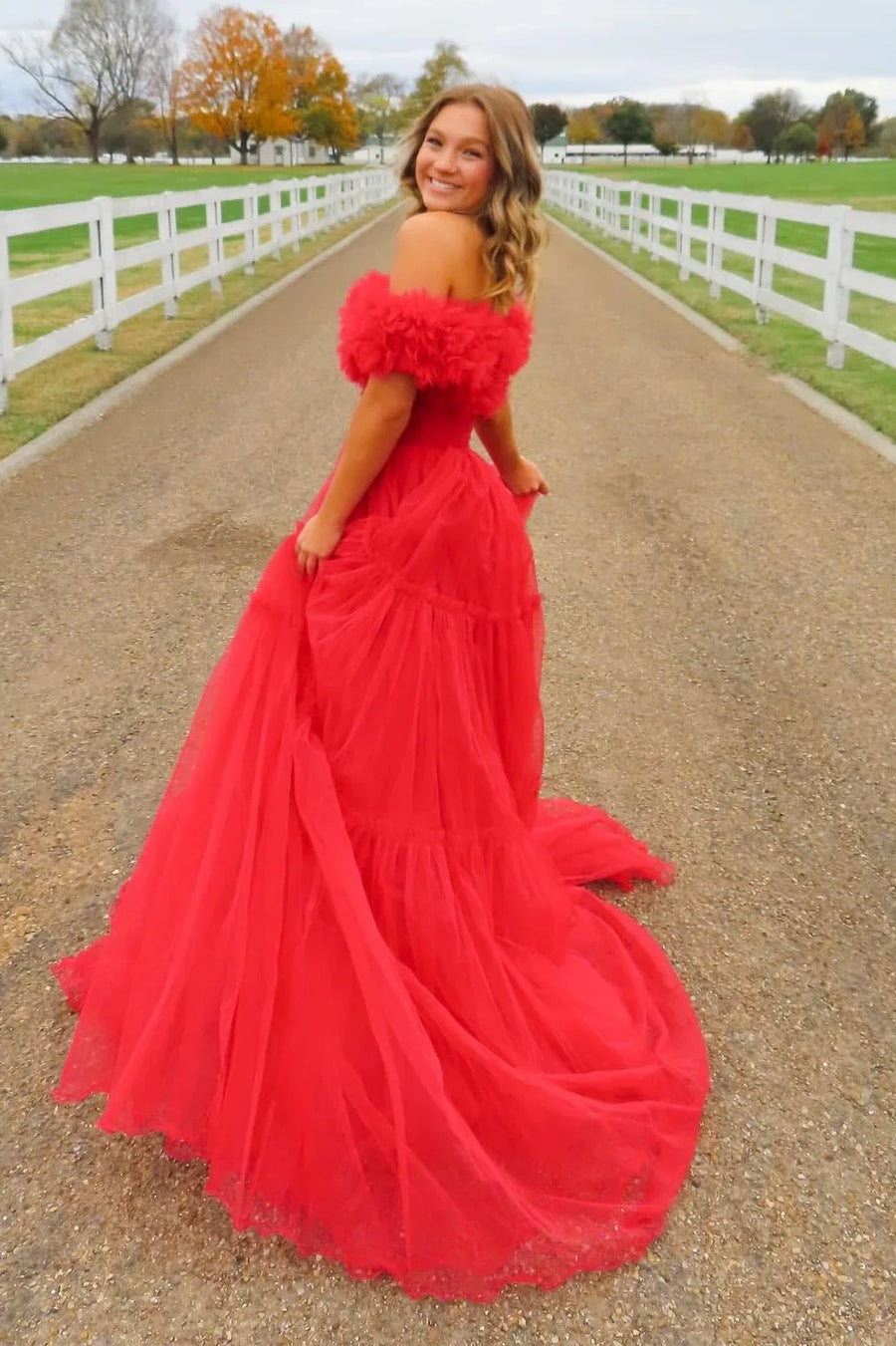 Off-Shoulder Tulle A-Line Empire Long Party Prom Dress