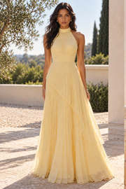 Round Sleeveless Chiffon A-Line Empire Pleated Maxi Party Prom Dress