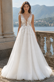 Sheer Lace Appliques V-Neck Sleeveless Tulle A-Line Wedding Dress 