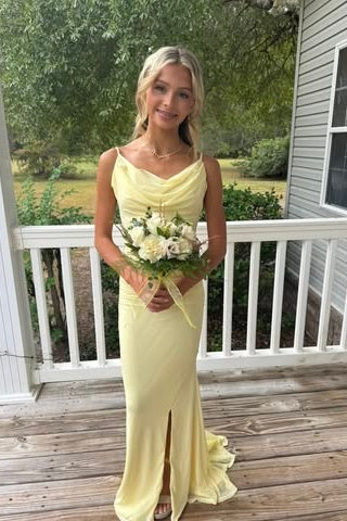 Spaghetti Straps Backless Mermaid Party Prom Dress