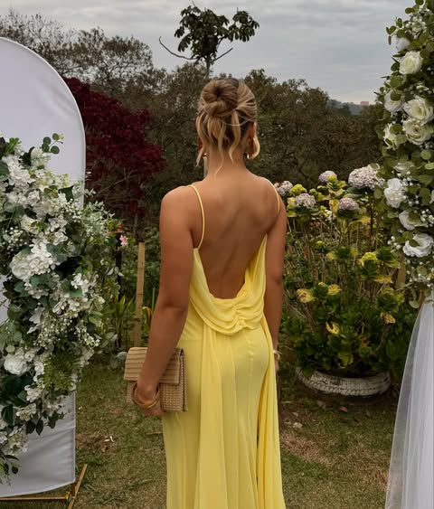 Chiffon Bateau Backless Sleeveless Long Party Prom Dress