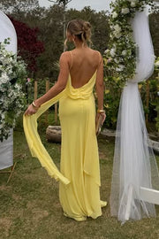 Chiffon Bateau Backless Sleeveless Long Party Prom Dress