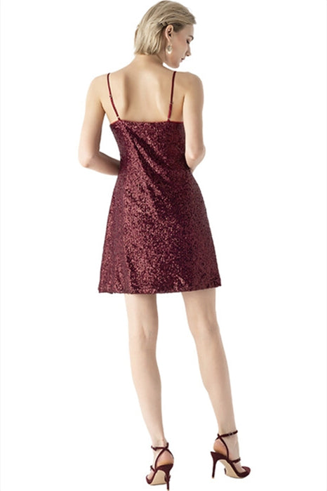 Burgundy Sequined A-line Dress