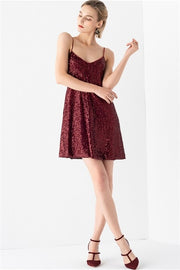 Burgundy Sequined A-line Dress